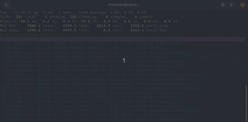 Filter by User or Field/Value in top command