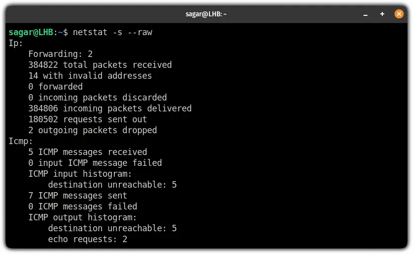 get raw network statistics using the netstat command