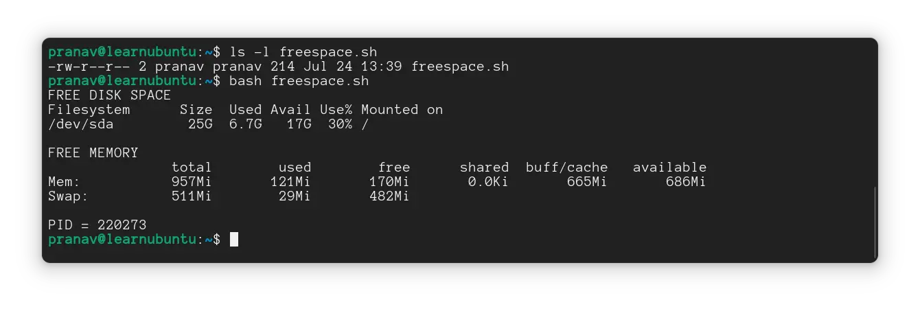 Script ran using the bash interpreter