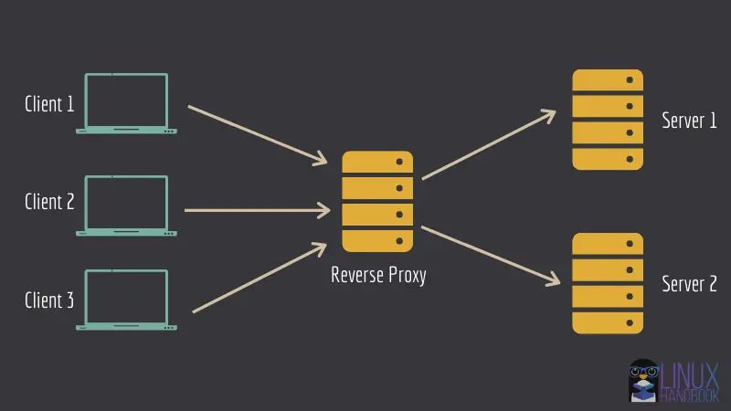 Reverse Proxy