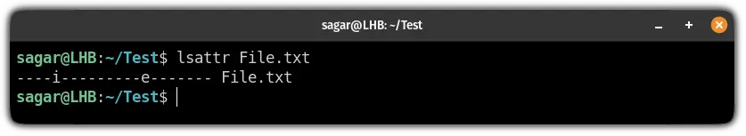use lsattr command to check attributes of file