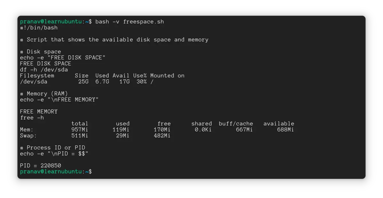 Script executed in Verbose mode or "bash -v" mode
